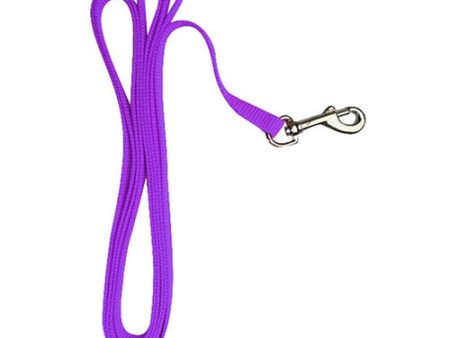 Chicken Harness Leash Purple 1 Count by Valhoma Corporation For Sale