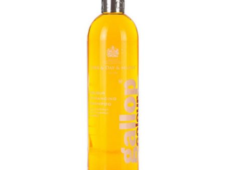 Gallop Colour Enhancing ShampooChestnut & Palomino 500 Ml by Carr & Day & Martin Fashion