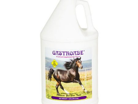 Gastroade Calcium Supplement for Horses 1 Gallon by Cox Veterinary Laboratory, Inc. Discount