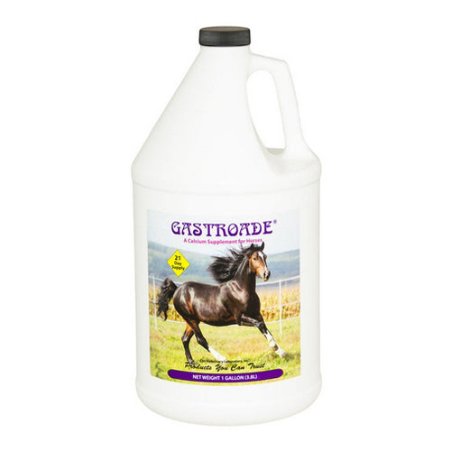 Gastroade Calcium Supplement for Horses 1 Gallon by Cox Veterinary Laboratory, Inc. Discount