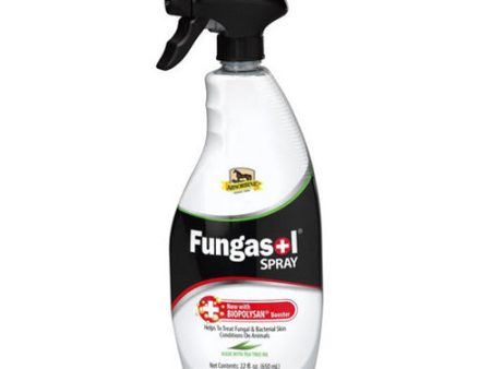 Fungasol Spray for Skin Conditions 22 Oz by Absorbine For Sale