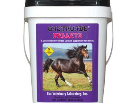 Gastroade Calcium Supplement for Horses 9 Lbs by Cox Veterinary Laboratory, Inc. For Sale