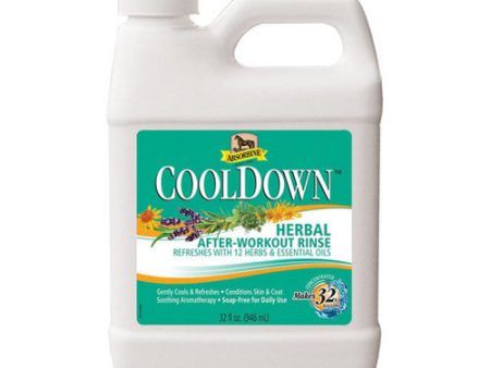 CoolDown Herbal After-Workout Rinse 32 Oz by Absorbine For Sale