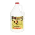 Wheat Germ Oil Blend for Horses 1 Gallon by Cox Veterinary Laboratory, Inc. Online Hot Sale