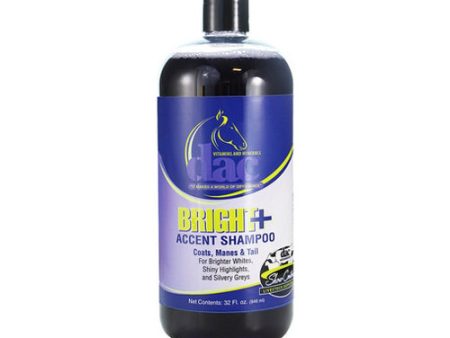 Dac Bright+ Accent Shampoo 32 Oz by Dac Direct Action Company on Sale