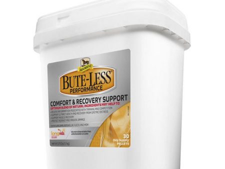 Bute-Less Performance Comfort & Recovery Support for Horses 3.7 Lbs by Absorbine Online