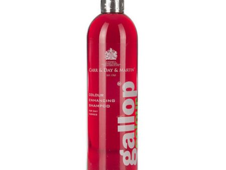 Gallop Colour Enhancing Shampoo Bay 500 Ml by Carr & Day & Martin For Sale