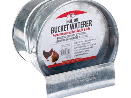 Galvanized Bucket Poultry Waterer 1 Each by Miller Little Giant Sale