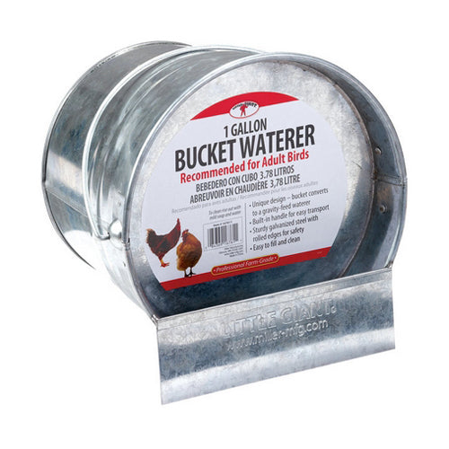 Galvanized Bucket Poultry Waterer 1 Each by Miller Little Giant Sale