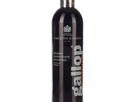 Gallop Colour Enhancing Shampoo Black 500 Ml by Carr & Day & Martin For Sale