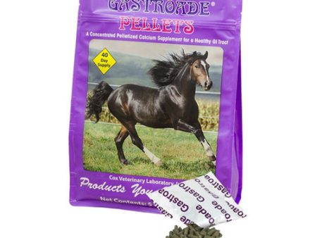 Gastroade Calcium Supplement for Horses  (40 Day Eze-Go Packs) 5 Lbs by Cox Veterinary Laboratory, Inc. Hot on Sale