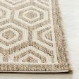 Safavieh Courtyard CY6902 Brown Bone Area Rug Online