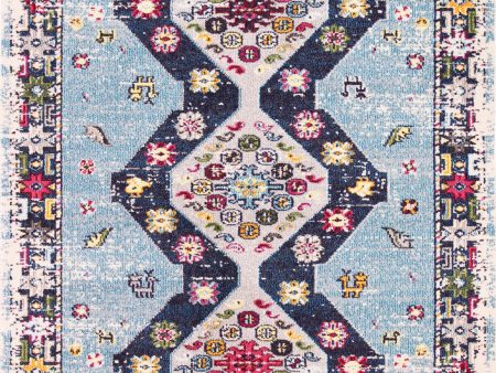 Bashian Dakota D113-MH109 Light Blue Area Rug Online